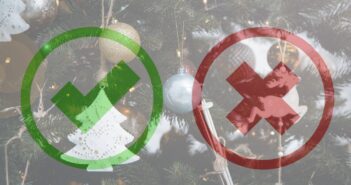 SANDT ELLER FALSK?-JULEQUIZ # 1 9